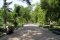 University Boulevard